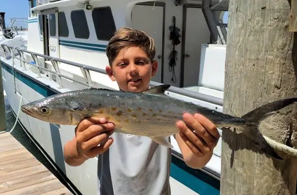 Large family groups with kids vacationing on Hatteras Island often get to catch spanish mackerel on an inshore near shore charter fishing trip. Large family groups with kids vacationing on Hatteras Island often get to catch spanish mackerel on an inshore near shore charter fishing trip.